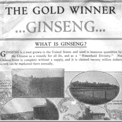 Stories From The Stacks