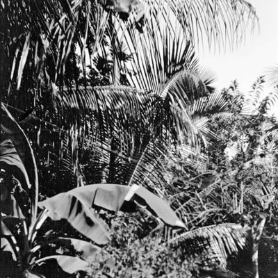 Stories From The Stacks