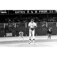 World Series Champion  Former MLB All Star Los Angeles Dodger Jerry Reuss