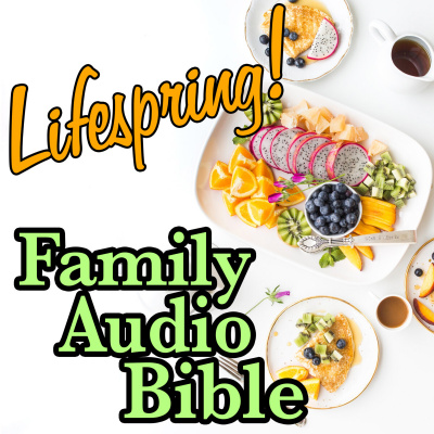 Lifespring! Family Audio Bible