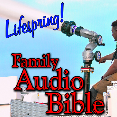 Lifespring! Family Audio Bible