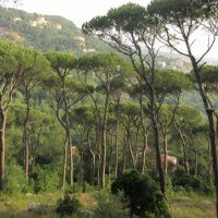 People, Priests, and Prophets (The Days of Elijah)