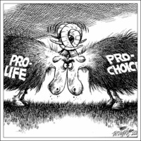 Roe V. Wade Argument - 1973