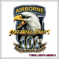 Screaming Eagles In Vietnam