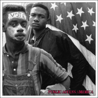 Two Centuries of American Criminal Justice