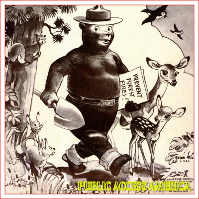 Public Access America