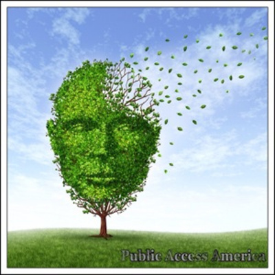 Public Access America