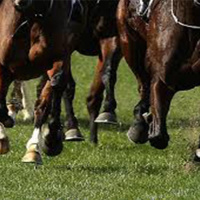 Scott Cooney caught up with Nick Quinn from TAB.com.au in the build up to Caulfield Guineas Day and The Everest on Sports Overnight on RSN 927 this morning!