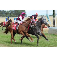 Tumbarumba Racing Clubs Gordon Kelso chats to Andrew Kuuse re their once a year race meeting