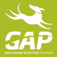 GAP Larissa Darragh speaks to Andrew Kuuse re this Sundays National Greyhound Adoption day at The Meadows