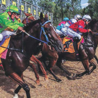 Warialda Racing Clubs Tony Hancock chats to Andrew Kuuse re their once a year race meeting