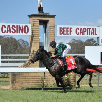 Casino Racing Club Renee Opryszko chats to Andrew Kuuse about the Casino Cup meeting in country NSW