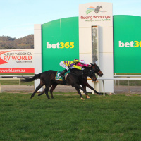 Wodonga Racing Clubs Steve Wright chats to Andrew Kuuse re Border Bubble Racing