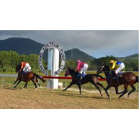 Racing Qld Cooktown Racing Club Daryl Paradise chats to Andrew Kuuse