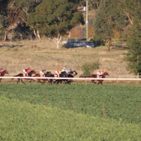 Young Racing Club Stuart Maxwell chats to Andrew Kuuse re this weekends annual race meeting in country NSW