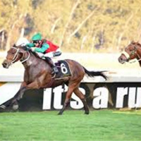 Racing Sth Africa Peter Gibson chats to Andrew Kuuse on RSN Weekend Breakfast re Racing resumption