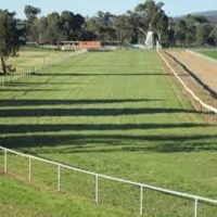 Racing NSW Cootamundra Racing Club Anna Mullins chats to Andrew Kuuse re todays cup meeting