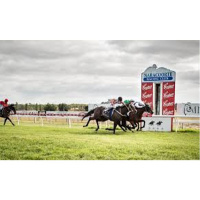 Naracoorte Racing Clubs Bruce Jaensch chats to Andrew Kuuse re Sundays Cup meeting