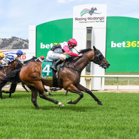 Wodonga Steve Wright chats to Andrew Kuuse re Sundays meeting