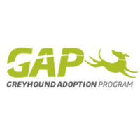 GAP VIC Larissa Darragh chats to Andrew Kuuse about the success of GAP even in challenging times