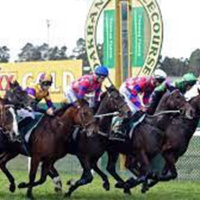 Oakbank Races Shane Collins chats to Andrew Kuuse re start of Oakbank Carnival