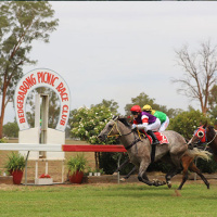 Bedgerabong Racing Clubs Michelle Whiley chats to Andrew Kuuse re return of Picnic Racing in NSW