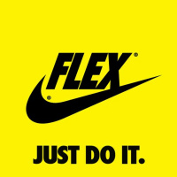 1: Flex