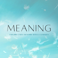 The Search For Meaning