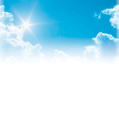 Aa Meetings On Air: New Zealand