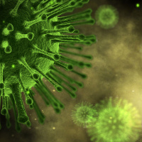 Business Book Challenge: episode 4