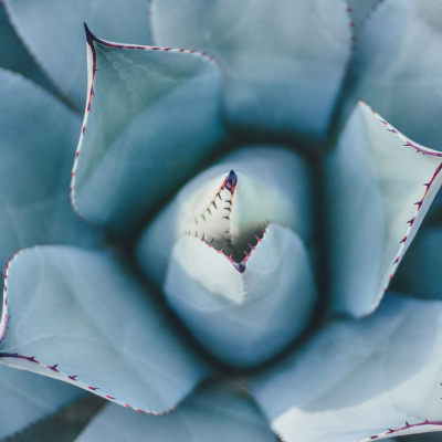 Wabash Friends Church Sermons