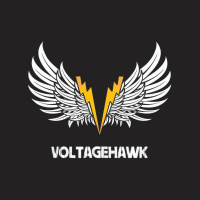 Its electric my interview with Voltagehawk