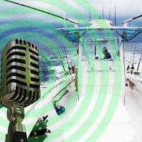 Live From Loggerhead Turtle Rescue  Research Lab!