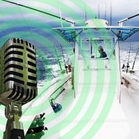 Trawler For Sale! Marine Trader 34 DC