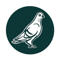 The Pigeons Tegwyn Hughes and Bayleigh Marelj