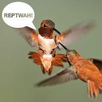 Ill Be Quack (Marcus Vox Only)