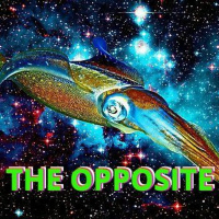 The Opposite