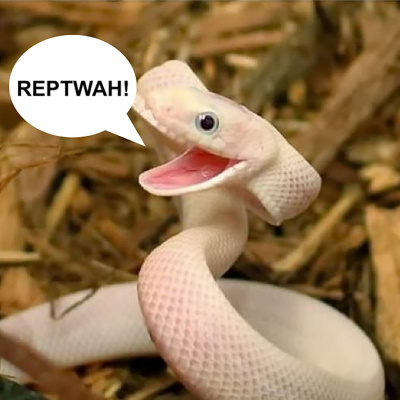 Rbl Broadcast Podcast