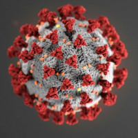 Second Opinion: The Final Lockdown Hang Out