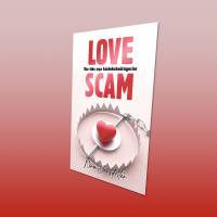 528 Bedragare på nätet