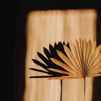 463 Hur du lyckas med dina prioriteringar