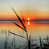 426 Sommarspecial 3 - Min värsta stund som företagare