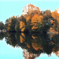 491 Stora eller små kunder