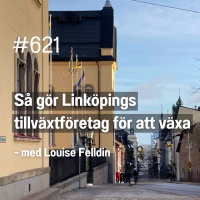 621 Så gör Linköpings tillväxtföretag för att växa - med Louise Felldin