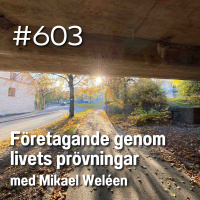 603 Företagande genom livets prövningar - med Mikael Weléen