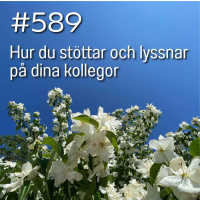 589 Hur du stöttar och lyssnar på dina kollegor