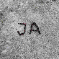 482 Då säger jag JA