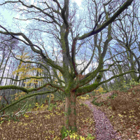 446 Så lyckas du med sociala medier