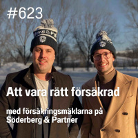 623 Att vara rätt försäkrad med försäkringsmäklarna på Söderberg  Partner