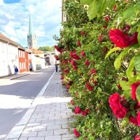 431 Sommarspecial 8 - Risken att jobba för mycket med försäljning